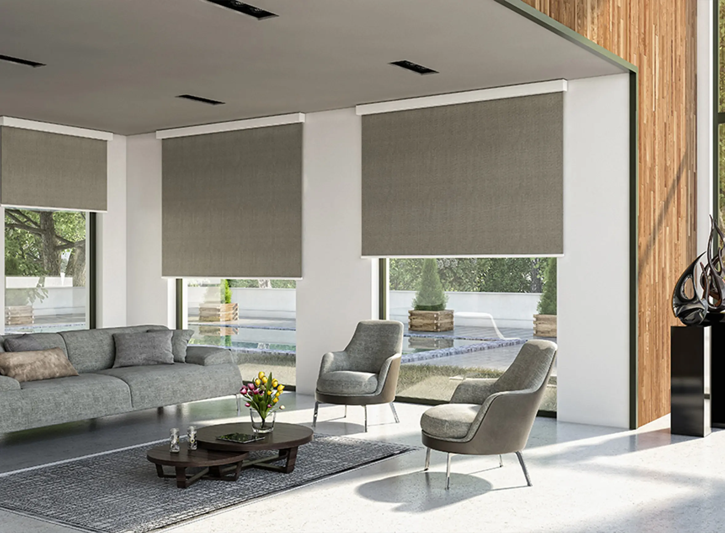 tenda a rullo elite box